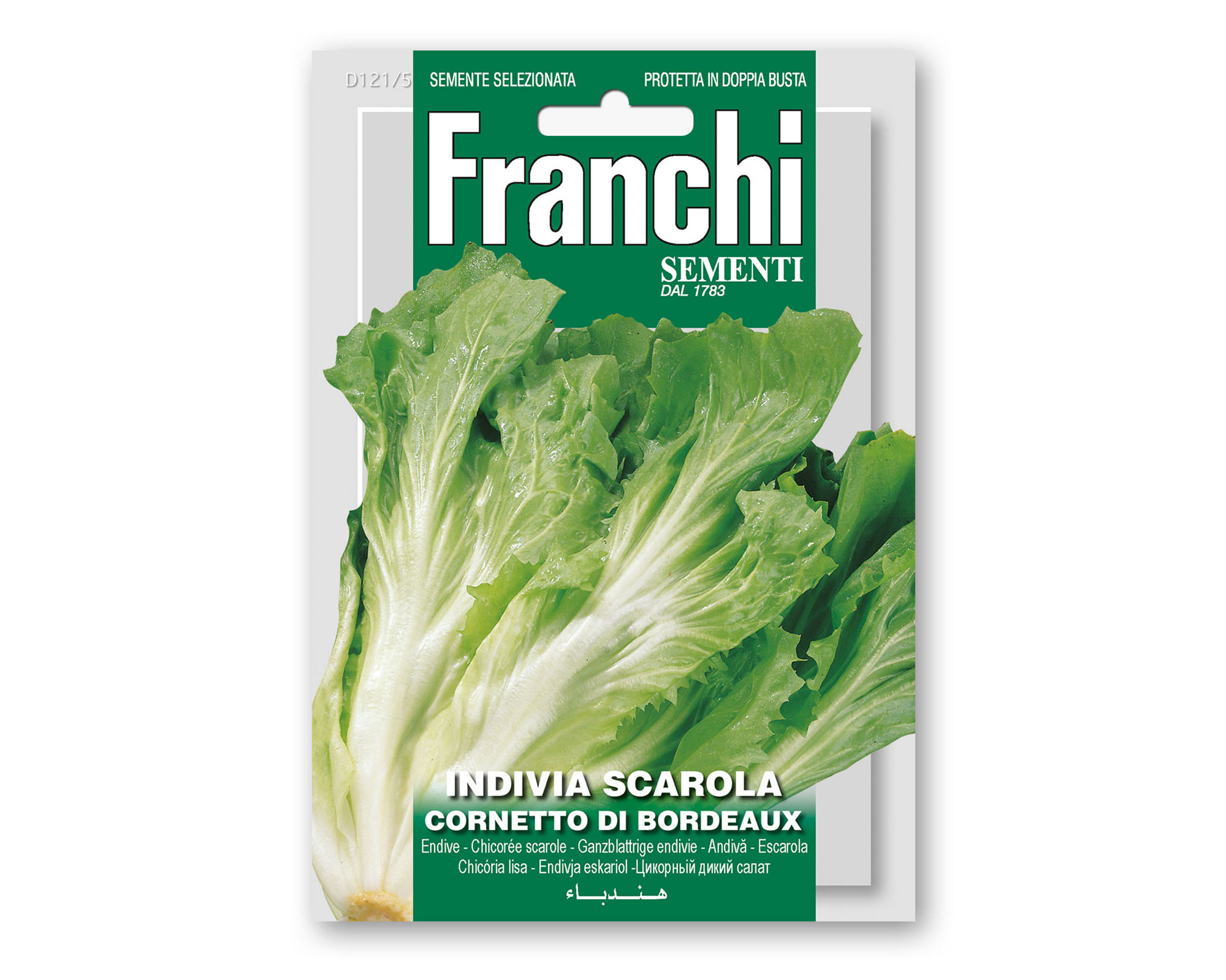 Semi di Indivia Scarola Cornetto di Bordeaux - Franchi sementi