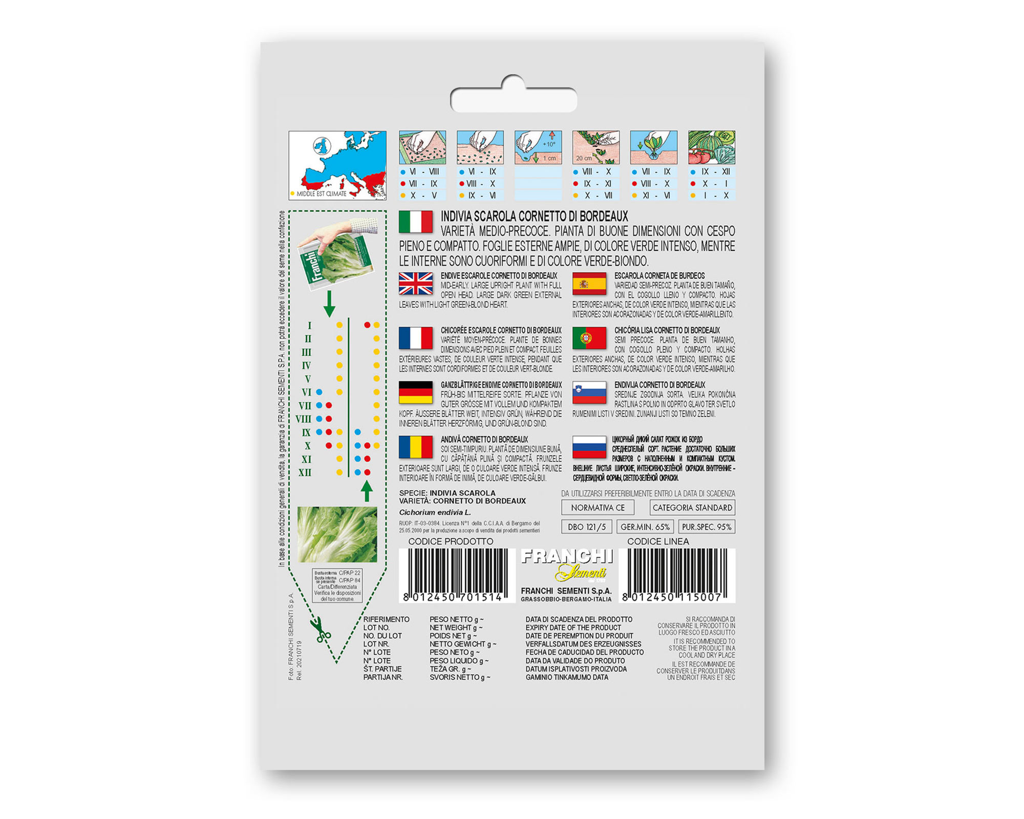 Semi di Indivia Scarola Cornetto di Bordeaux - Franchi sementi - immagine 2
