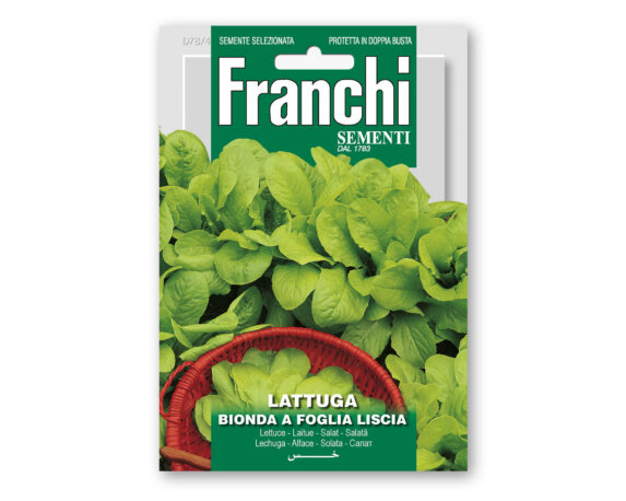 Semi di Lattuga Bionda a Foglia Liscia – Franchi sementi