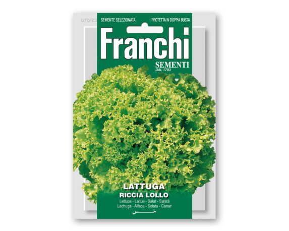 Semi di Lattuga Riccia Lollo – Franchi sementi