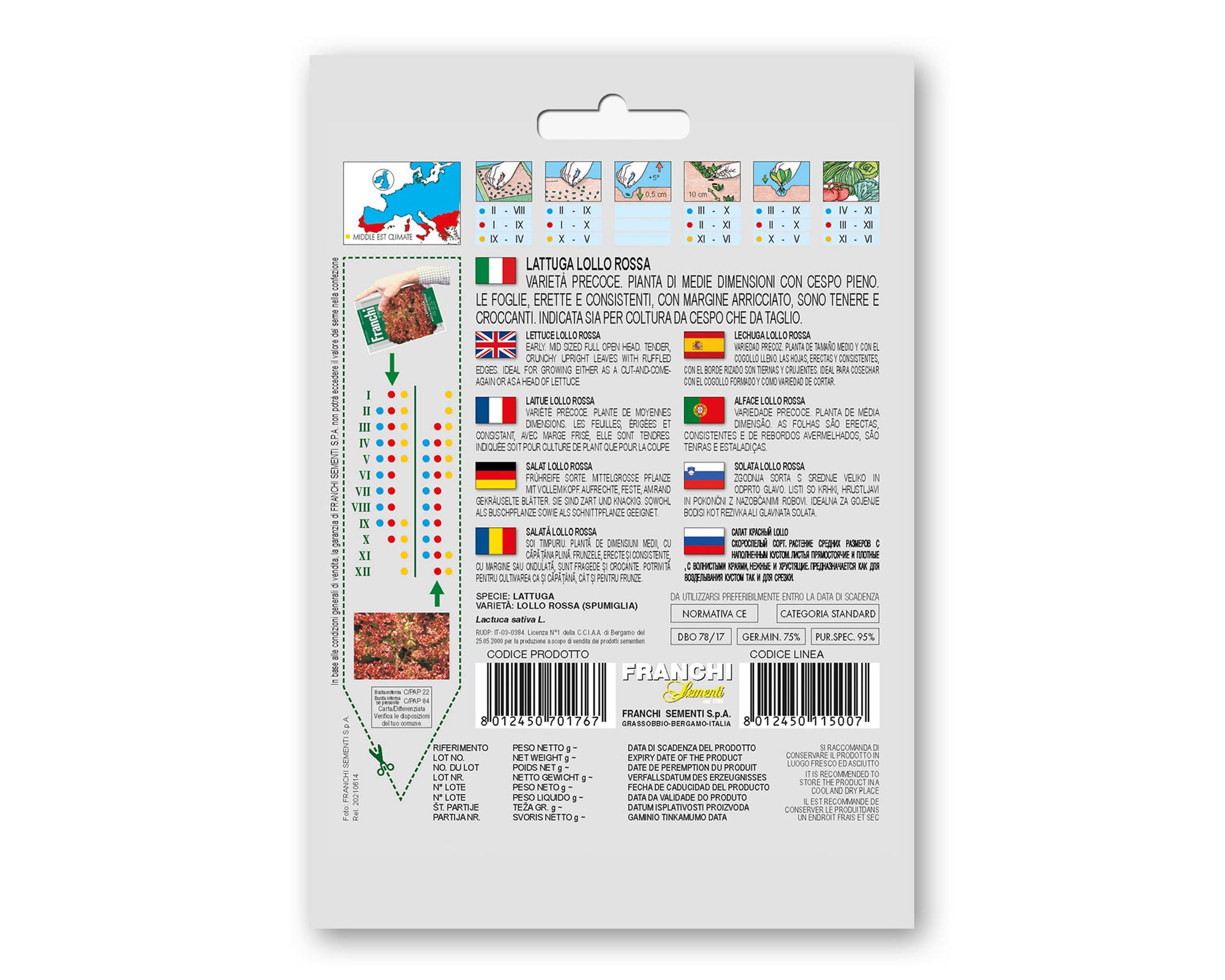 Semi di Lattuga Riccia Lollo Rossa - Franchi sementi - immagine 2