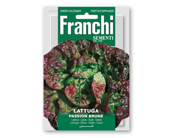 Semi di Lattughe Passion Brune – Franchi sementi
