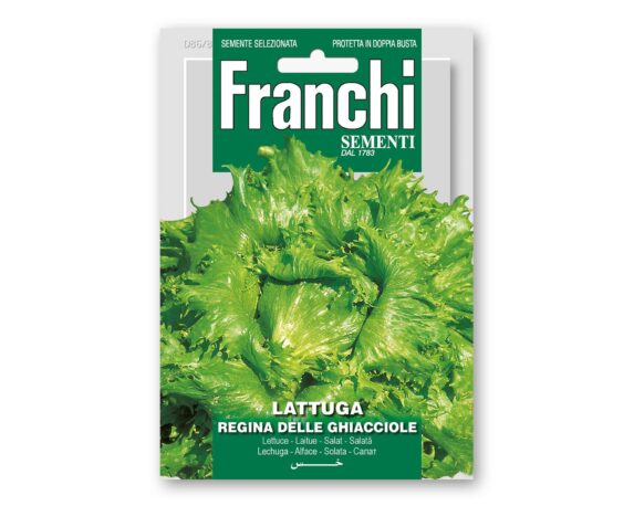 Semi di Lattuga Regina Ghiacciole – Franchi sementi