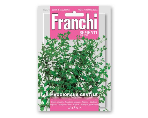 Semi di Maggiorana Gentile – Franchi sementi