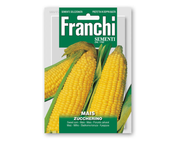 Semi di Mais Zuccherino – Franchi sementi