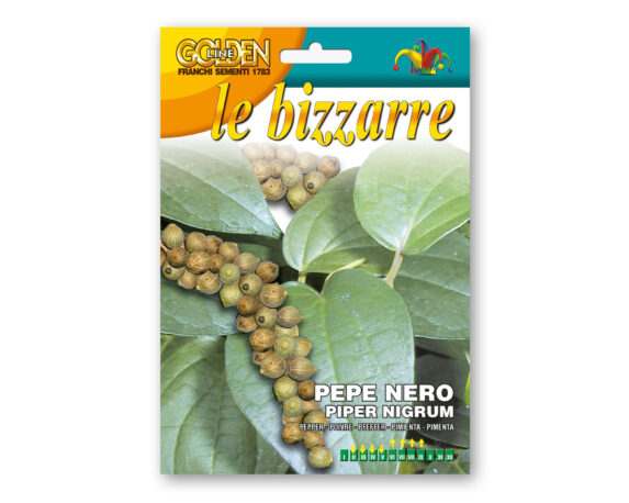 Semi di Pepe Nero – Franchi sementi