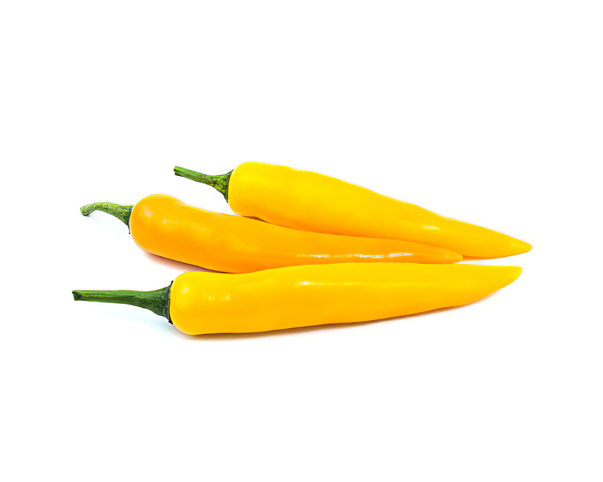 Semi di Peperoncino Roumanian Giallo - Franchi sementi - immagine 3