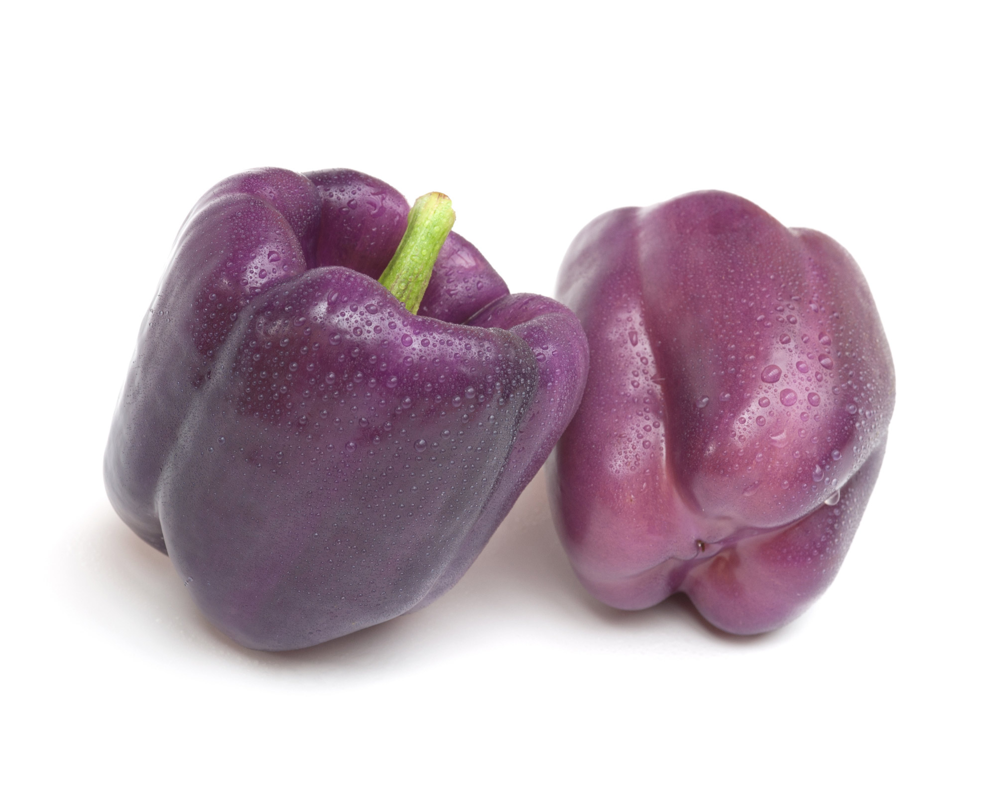 Semi di Peperone Oda - Franchi sementi - immagine 3