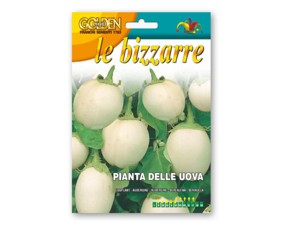 Semi di Panta delle uova – Franchi sementi