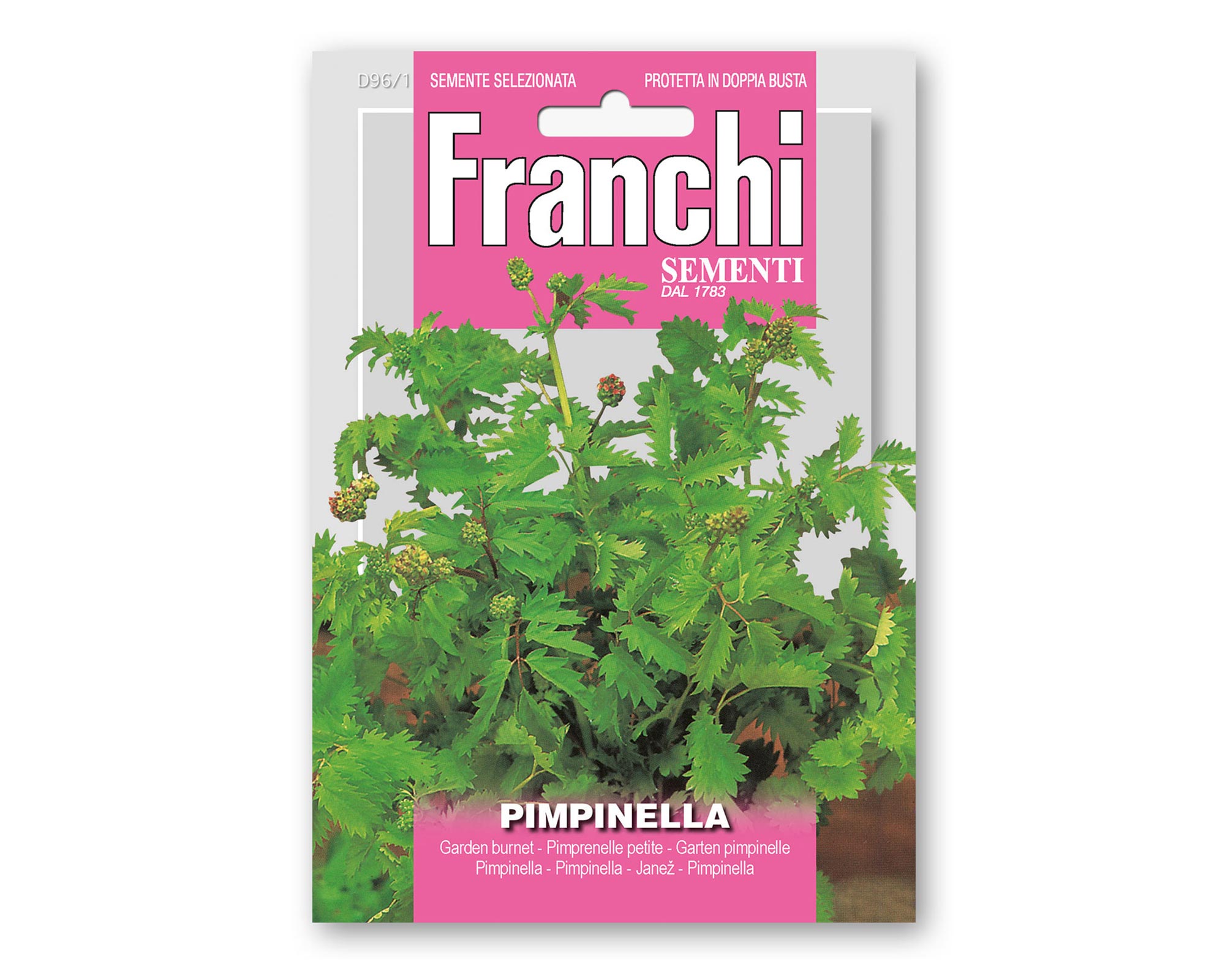 Semi di Pimpinella - Franchi sementi