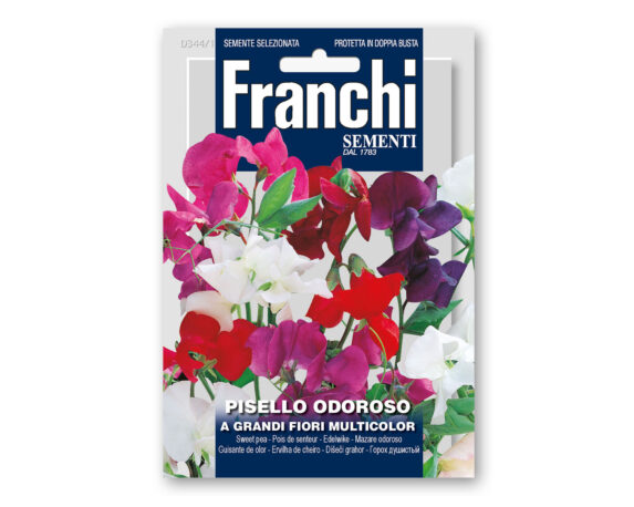 Semi di Pisello Odoroso Multicolor – Franchi sementi