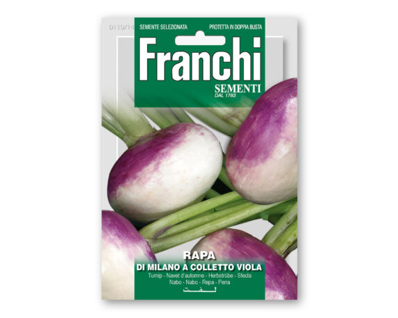 Semi di Rapa di Milano a Colleto Viola – Franchi sementi