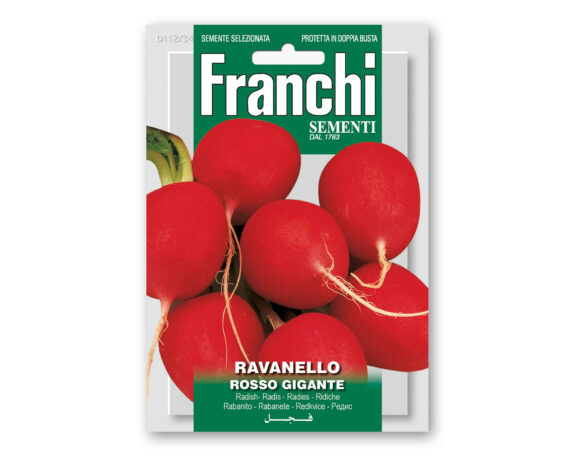 Semi di Ravanello Burro Gigante – Franchi sementi