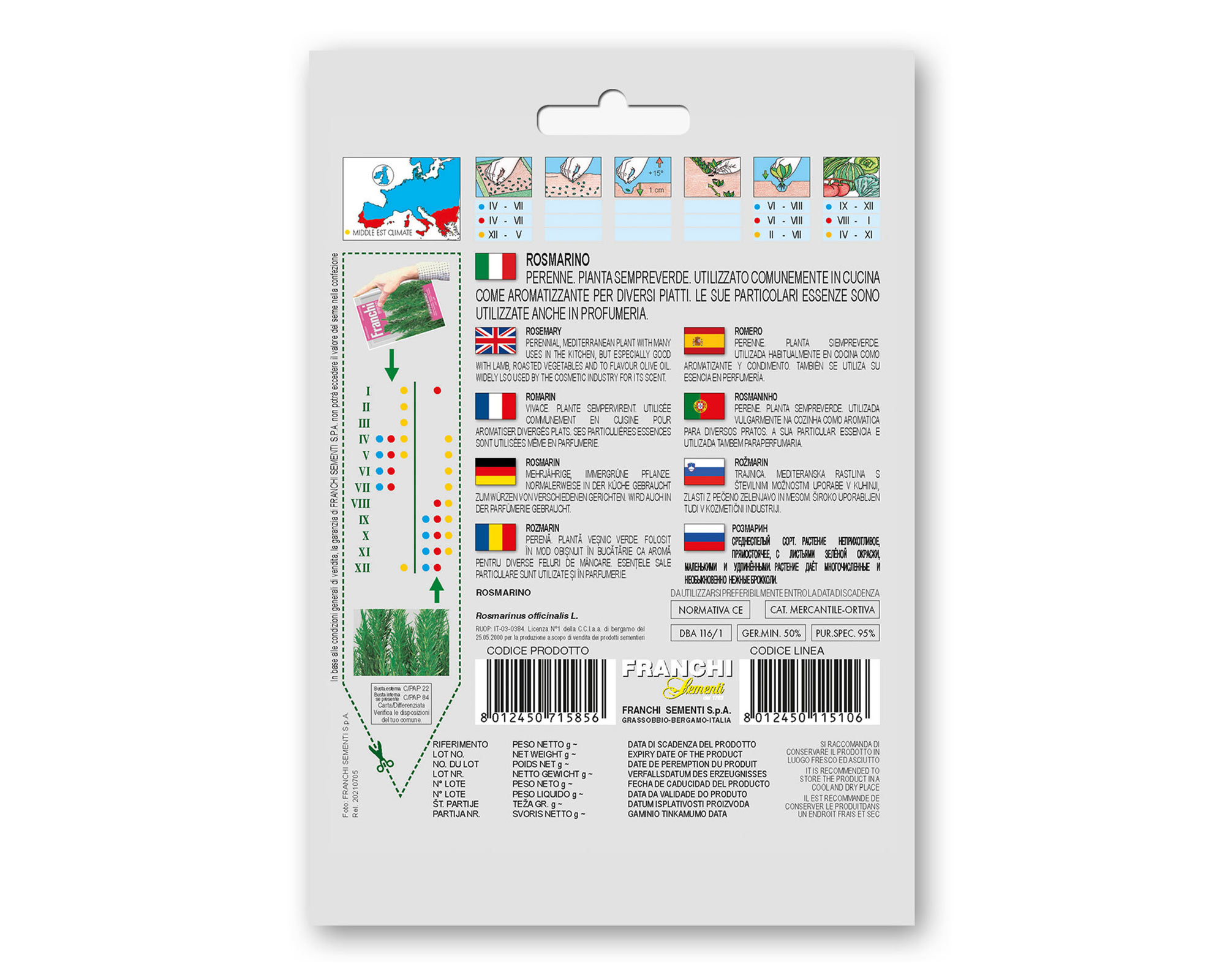 Semi di Rosmarino - Franchi sementi - immagine 2