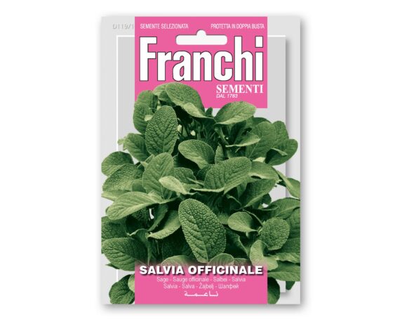 Semi di Salvia Officinale – Franchi sementi