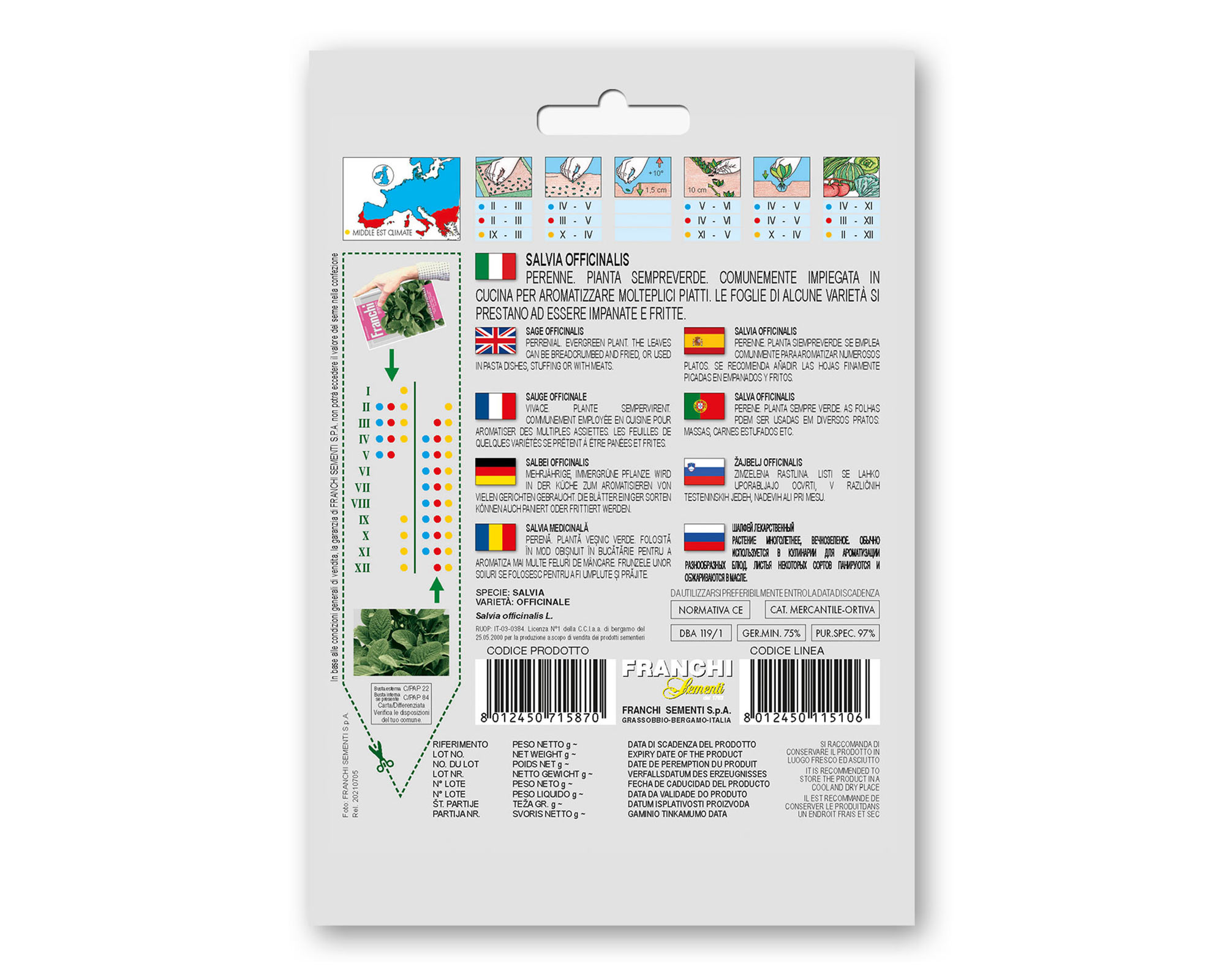 Semi di Salvia Officinale - Franchi sementi - immagine 2