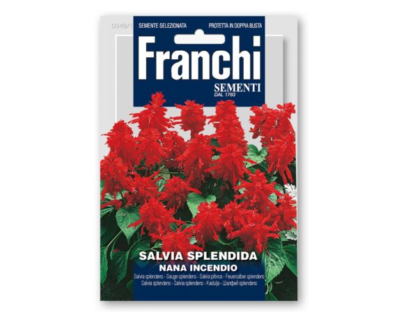 Semi Di Salvia Splendida Nana Incendio – Franchi Sementi