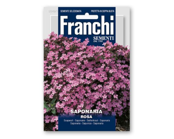 Semi di Saponaria Rosa – Franchi sementi