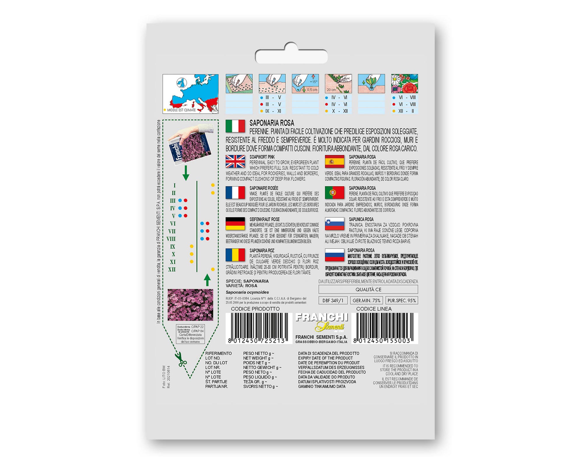 Semi di Saponaria Rosa - Franchi sementi - immagine 2