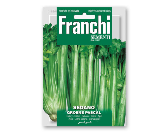 Semi di Sedano Verde Pascal – Franchi sementi