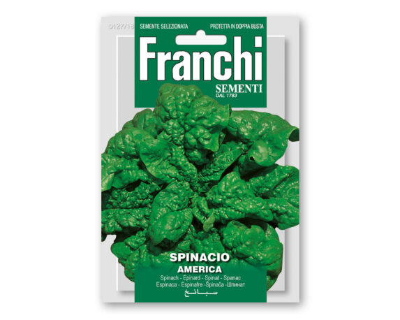Semi di Spinacio America – Franchi sementi