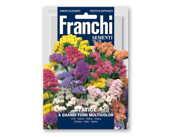 Semi di Statice a Grandi Fiori Multicolor – Franchi sementi