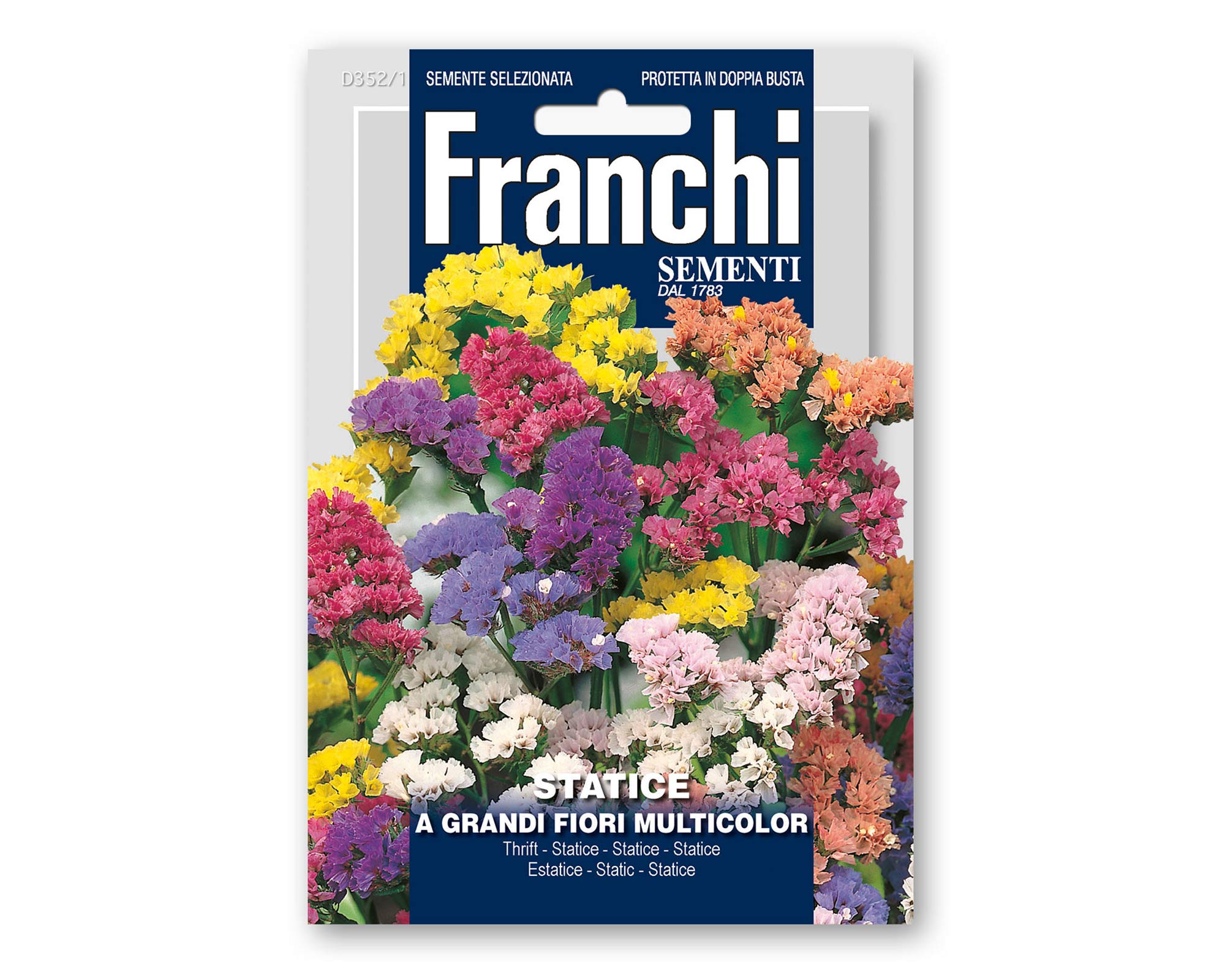 Semi di Statice a Grandi Fiori Multicolor - Franchi sementi