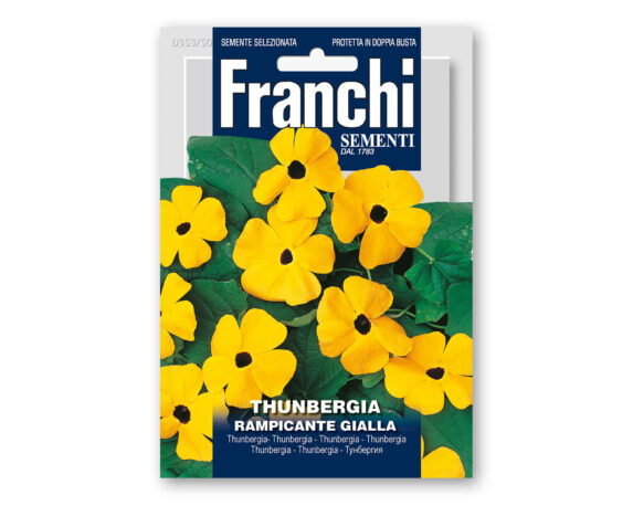 Semi di Thunbergia Rampicante Gialla – Franchi sementi