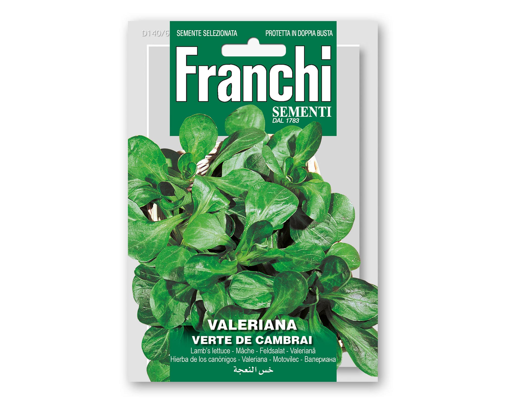 Semi di Valeriana Verte De Cambrai - Franchi sementi