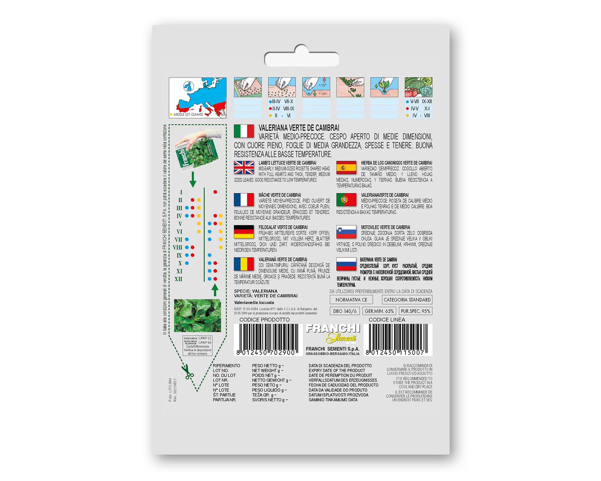 Semi di Valeriana Verte De Cambrai - Franchi sementi - immagine 2