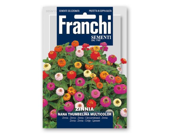 Semi di Zinnia Nana Thumbelina Multicolor – Franchi sementi