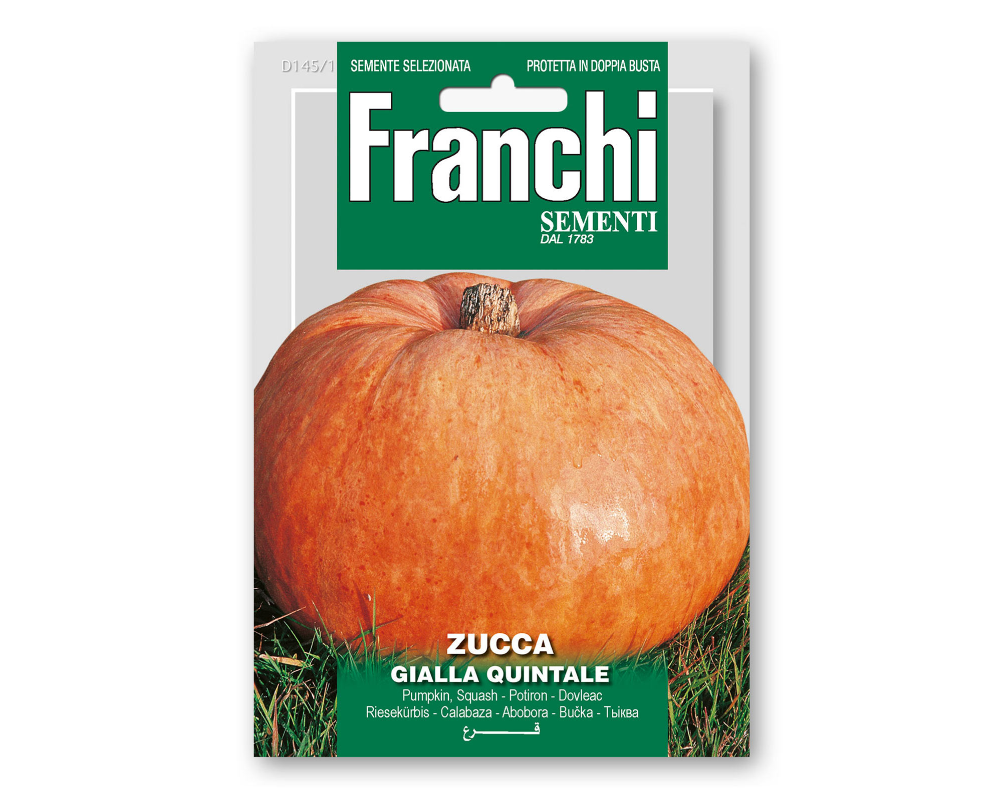 Semi di Zucca Quintale Giallo - Franchi sementi