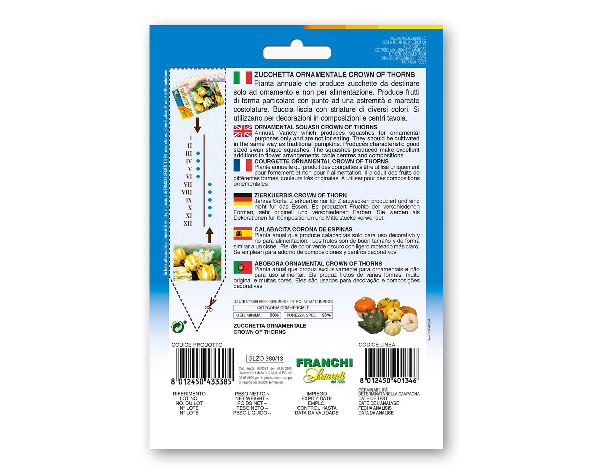 Semi di Zucchetta Ornamentale Crown of Thorns - Franchi sementi - immagine 2