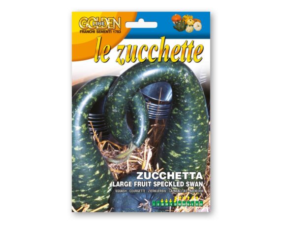 Semi di Zucchetta Large Fruit Speckled Swan – Franchi sementi