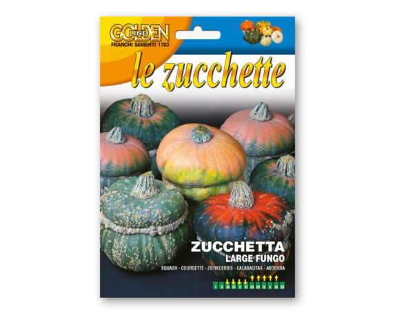 Semi Di Zucchetta Large Fungo – Franchi Sementi