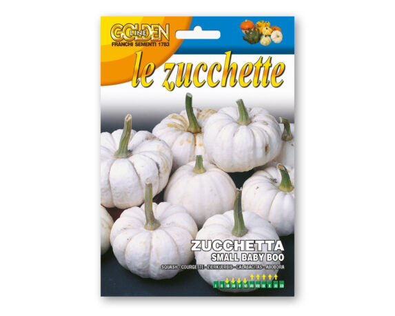 Semi di Zucchetta Small Baby Boo – Franchi sementi
