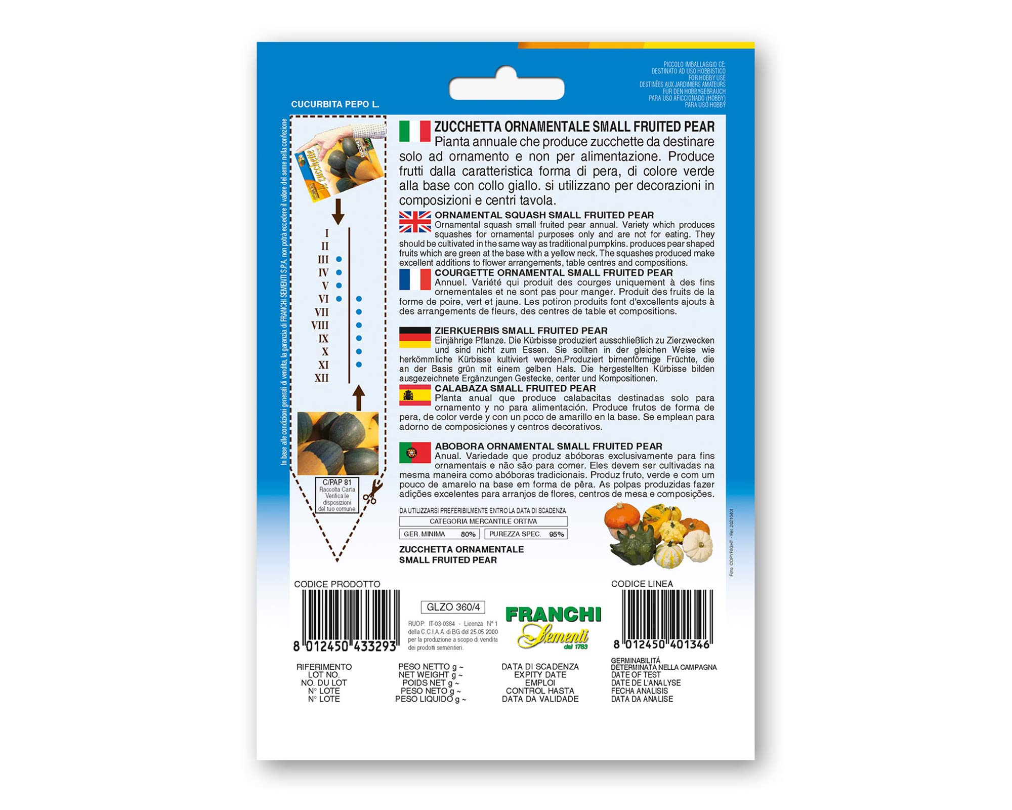 Semi di Zucchetta Ornamentale Small Fruited Pear - Franchi sementi - immagine 2