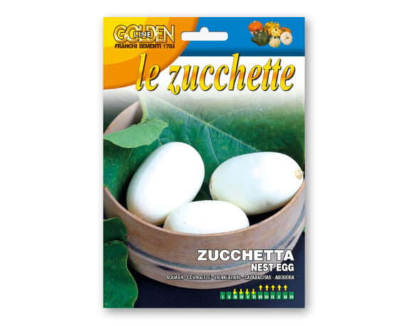 Semi di Zucchetta Nest Egg – Franchi sementi