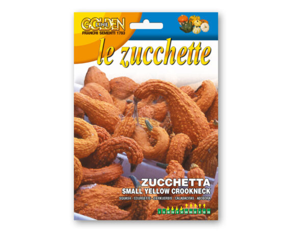 Semi di Zucchetta Ornamentale Small Yellow Crookneck – Franchi sementi