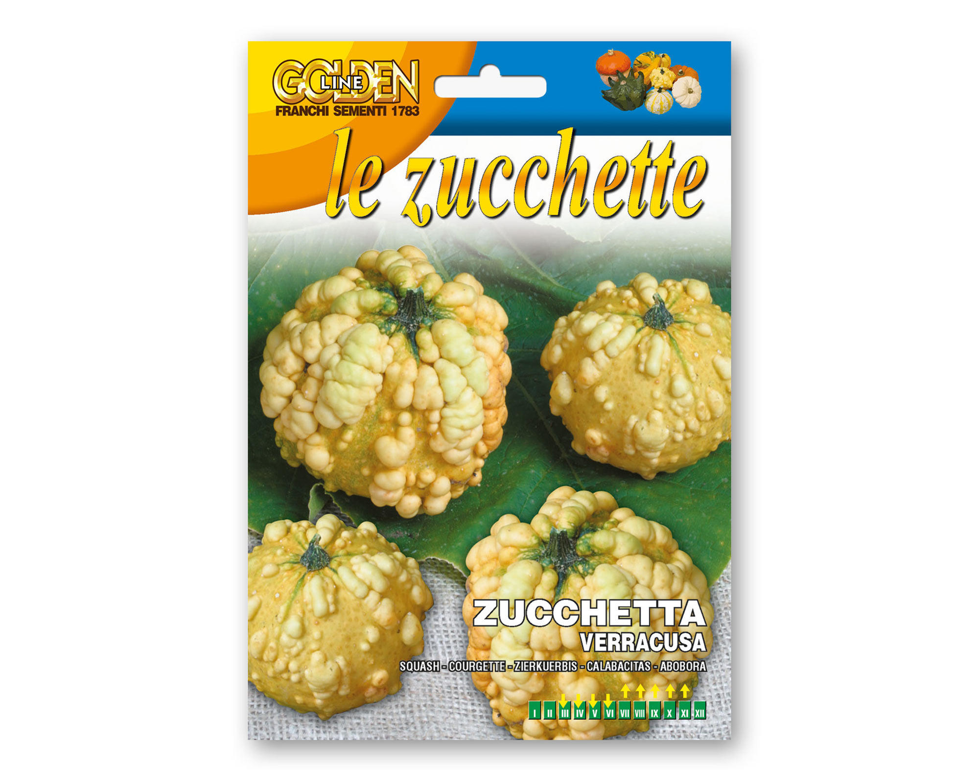 Semi di Zucchetta Ornamentale Verracusa - Franchi sementi