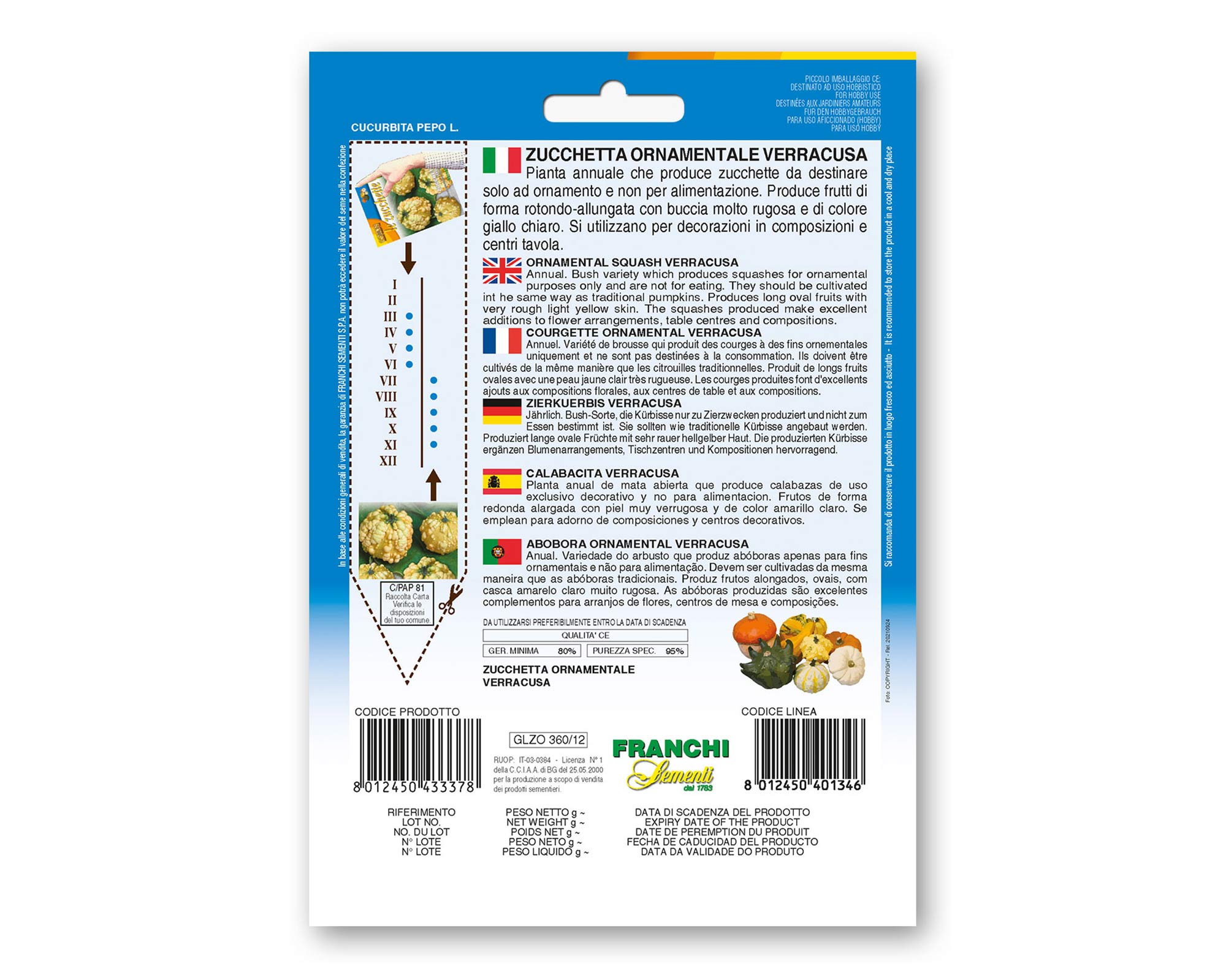 Semi di Zucchetta Ornamentale Verracusa - Franchi sementi - immagine 2