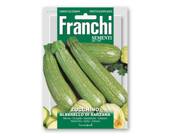 Semi di Zucchino Alberello di Sarzana – Franchi sementi