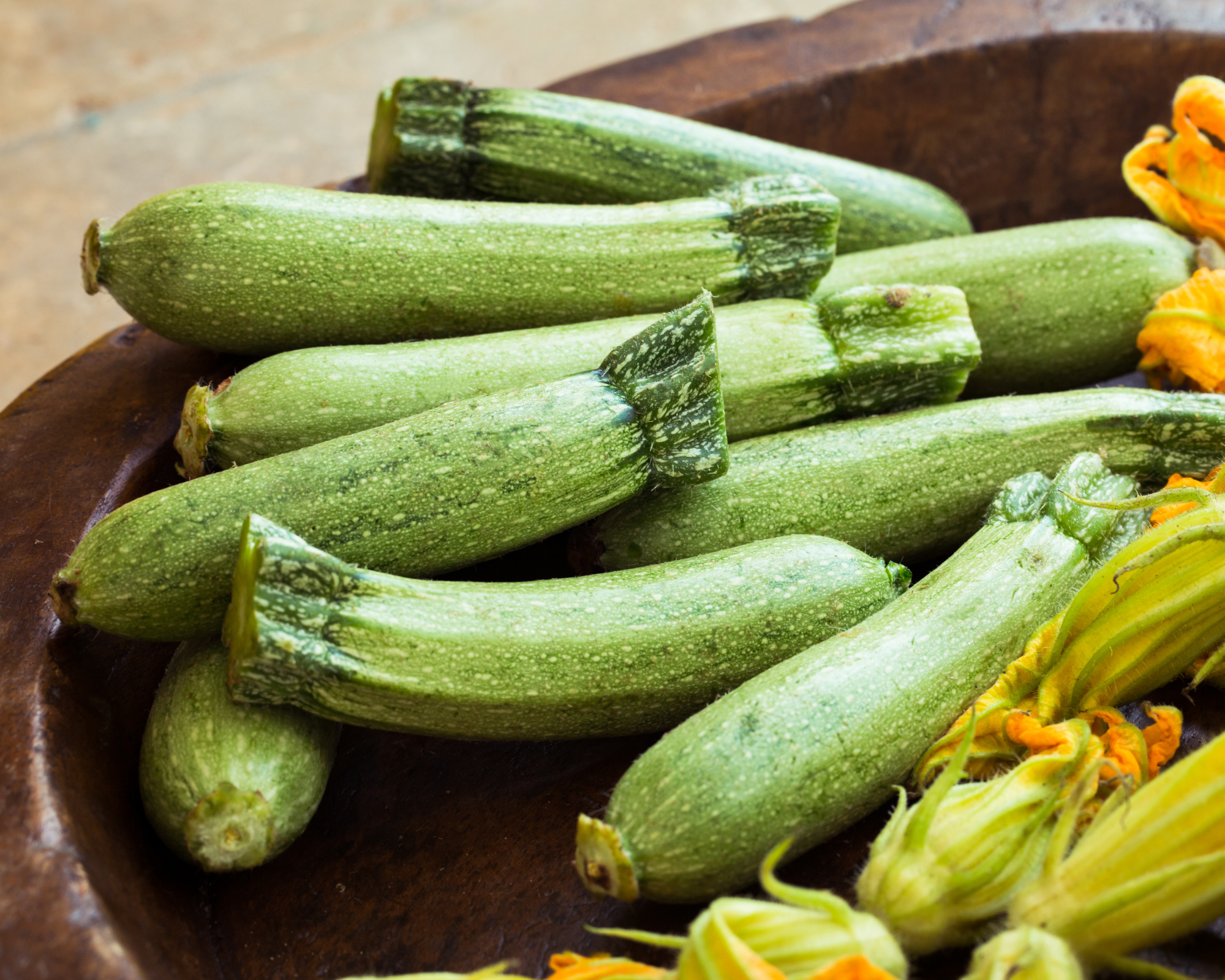 Semi di Zucchino Alberello di Sarzana - Franchi sementi - immagine 3