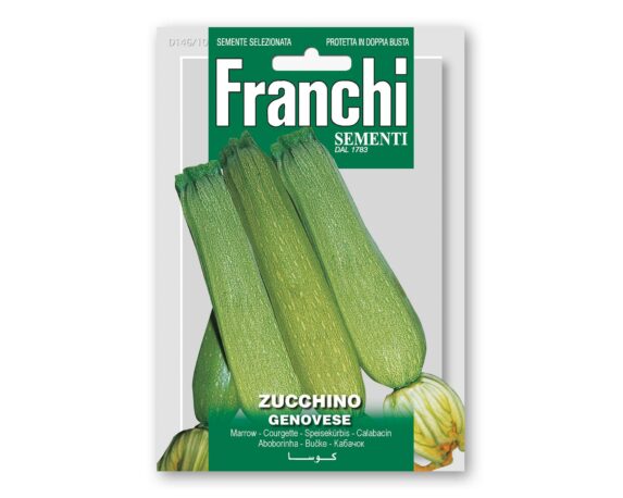 Semi Di Zucchino Genovese – Franchi Sementi