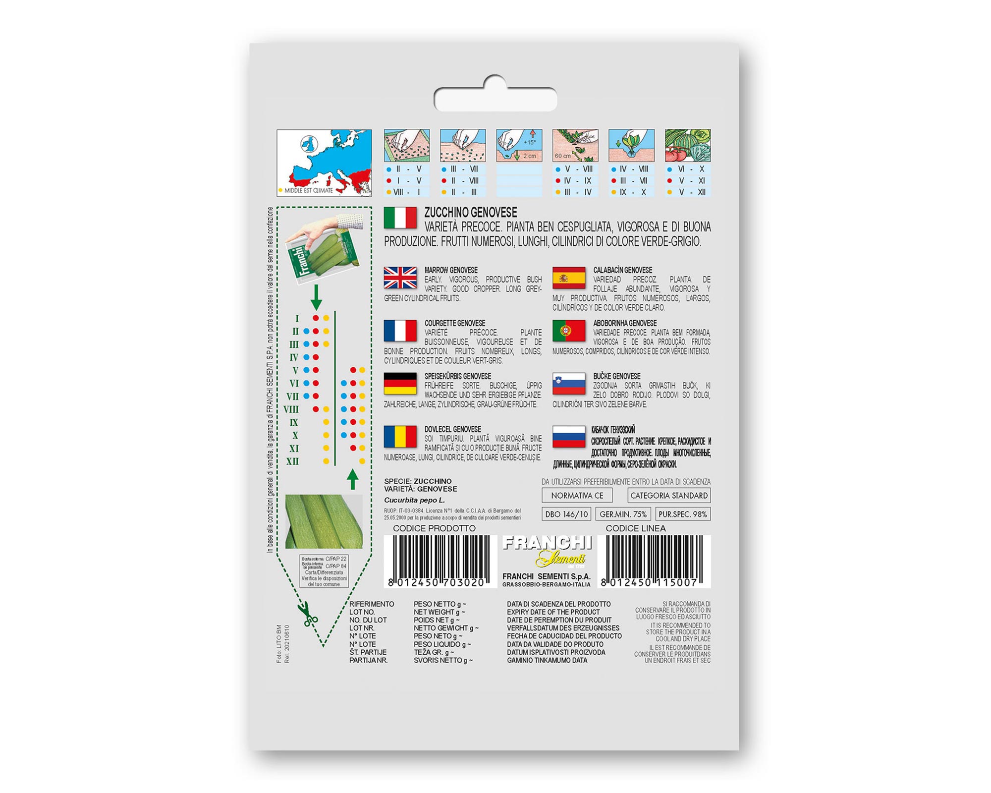 Semi di Zucchino Genovese - Franchi sementi - immagine 2