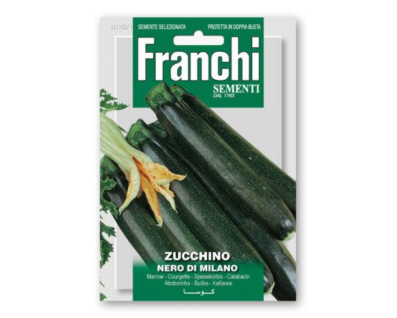 Semi Di Zucchino Nero Di Milano – Franchi Sementi