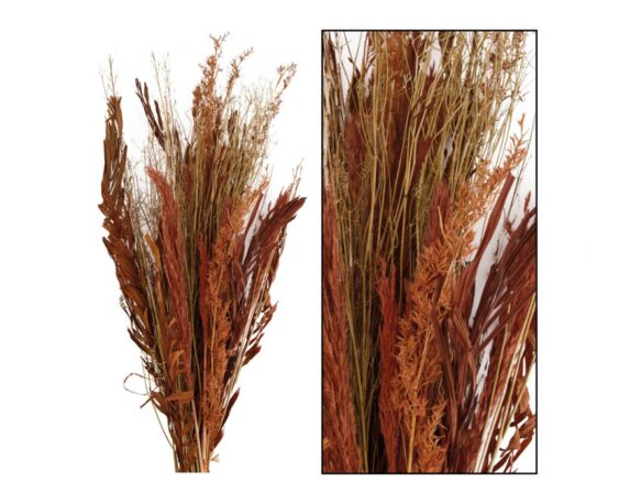 Mazzo Di Fiori Secchi 12 Steli – Dijk