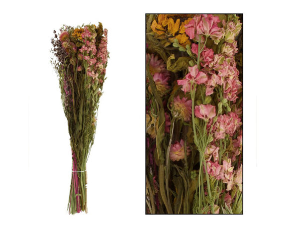 Mazzo Di Fiori Secchi 12 Steli – Dijk