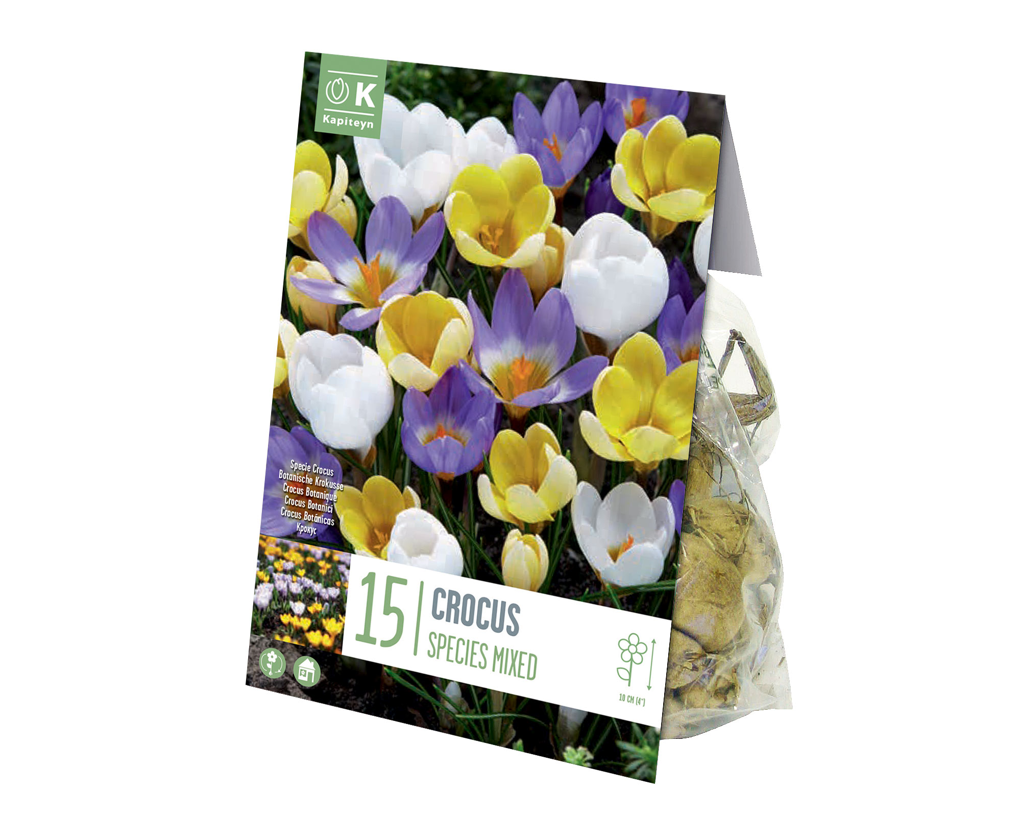 X25 Bulbo Crocus Mix (Croco) - Kapiteyn