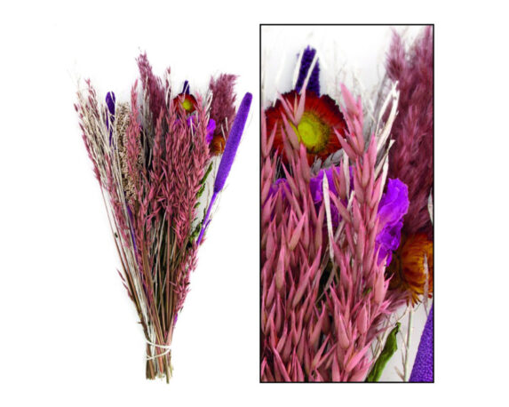 Mazzo Di Fiori Secchi 6 Steli – Dijk